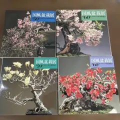 2026年最新】国風盆栽展の人気アイテム - メルカリ