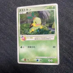 2026年最新】ナエトル 001/PPPの人気アイテム - メルカリ