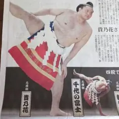 2026年最新】朝青龍の人気アイテム - メルカリ