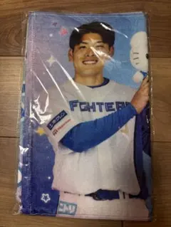 2026年最新】野村佑希 タオルの人気アイテム - メルカリ