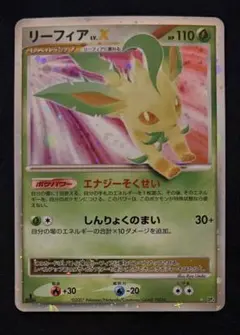 2026年最新】リーフィアLvの人気アイテム - メルカリ