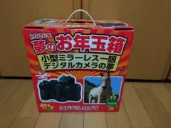 2026年最新】ミラーレス一眼デジタルカメラの夢の人気アイテム - メルカリ