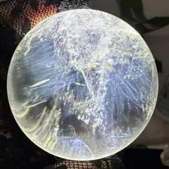 2026年最新】ブルーエンジェルラダーの人気アイテム - メルカリ