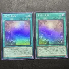 2026年最新】原石の皇脈の人気アイテム - メルカリ