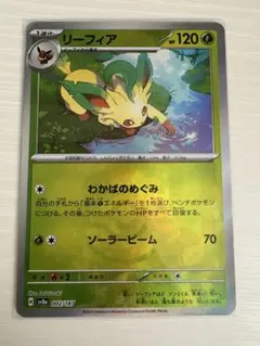 2026年最新】リーフィア プレイマットの人気アイテム - メルカリ