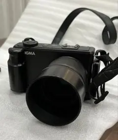 2026年最新】SIGMA SD1 merrillの人気アイテム - メルカリ
