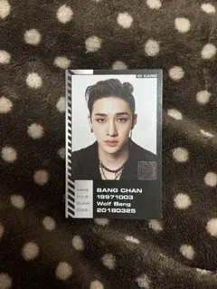 2026年最新】バンチャン トレカ oddinaryの人気アイテム - メルカリ