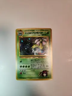 2026年最新】フシギバナ エリカのの人気アイテム - メルカリ