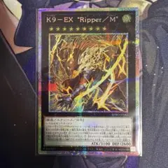 2026年最新】k9 プリズマの人気アイテム - メルカリ