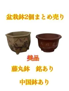 2026年最新】盆栽鉢 中国の人気アイテム - メルカリ