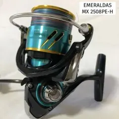 2026年最新】ダイワ 16 エメラルダス 2508PE-Hの人気アイテム - メルカリ