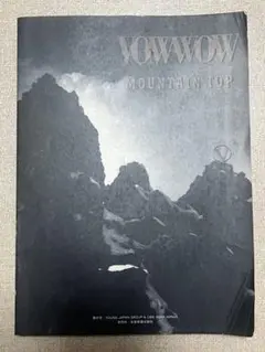 2026年最新】vow wow バンドスコアの人気アイテム - メルカリ