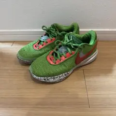 2026年最新】レブロン20 クリスマスの人気アイテム - メルカリ