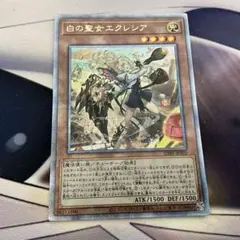 2026年最新】白の聖女エクレシア イラスト違いの人気アイテム - メルカリ