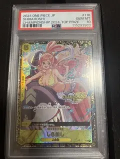 2026年最新】しらほし チャンピオンシップ psa10の人気アイテム - メルカリ