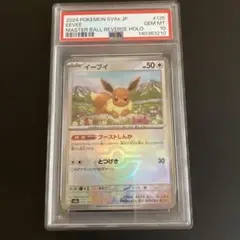 2026年最新】テラスタルフェス イーブイ psa10の人気アイテム - メルカリ