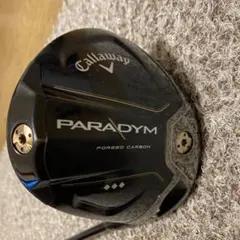 2026年最新】パラダイムトリプルダイヤモンド ドライバー 9の人気