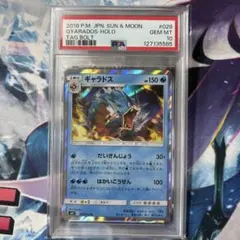 2026年最新】ギャラドス psa10の人気アイテム - メルカリ