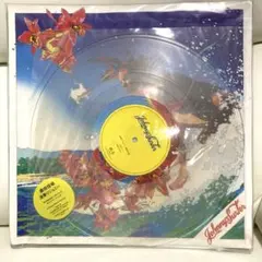 2026年最新】波乗りジョニー レコード 新品 桑田佳祐の人気アイテム