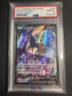 2026年最新】こくばバドレックスvmax csr psa10の人気アイテム - メルカリ