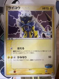 ライコウ ポケパークプレミアムファイル 005/009 - メルカリ