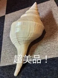 2026年最新】アラフラオオニシの人気アイテム - メルカリ