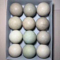 2026年最新】ソフトテニスボールカゴの人気アイテム - メルカリ