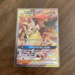 2026年最新】リザードン テールナーの人気アイテム - メルカリ