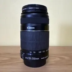 2026年最新】canon 55-250の人気アイテム - メルカリ