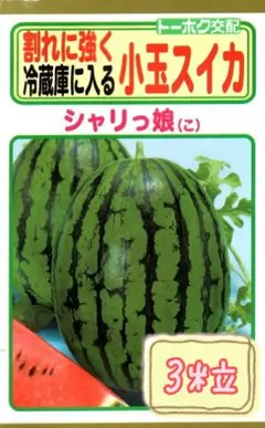 2026年最新】小玉スイカの人気アイテム - メルカリ