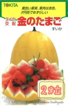 2026年最新】小玉スイカの人気アイテム - メルカリ