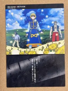 2026年最新】HUNTER×HUNTERカードダスマスターズ初版カードの人気