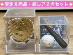 とかげ様専用】大谷翔平 サイングローブ＆2024シルバースラッガー賞