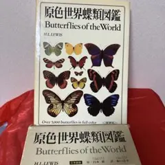 2026年最新】原色日本蝶類図鑑の人気アイテム - メルカリ