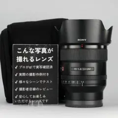 2026年最新】24mm f1.4 gmの人気アイテム - メルカリ