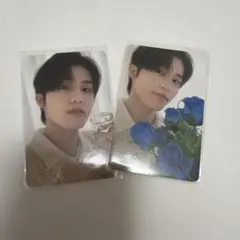 2026年最新】treasure ナイトガーデンの人気アイテム - メルカリ