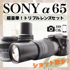 2026年最新】α65の人気アイテム - メルカリ