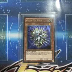 2026年最新】グローアップバルブ 英語の人気アイテム - メルカリ