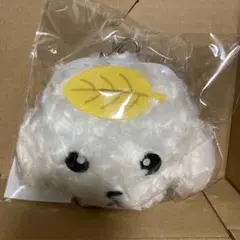 2026年最新】東方神起 ぬいぐるみの人気アイテム - メルカリ