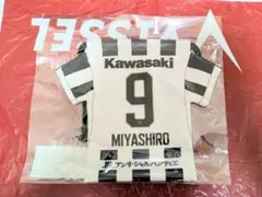 2026年最新】宮代大聖 ユニフォームの人気アイテム - メルカリ