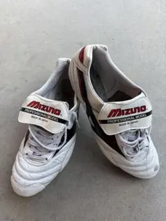 2026年最新】モレリア 28の人気アイテム - メルカリ