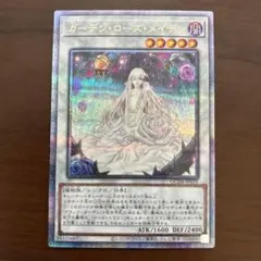 2026年最新】ガーデン・ローズ・メイデン 25thの人気アイテム - メルカリ