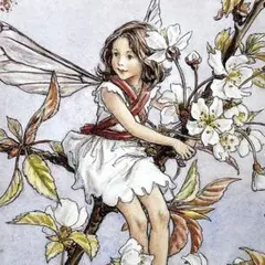 2026年最新】シャドーボックスプリントの人気アイテム - メルカリ