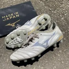 2026年最新】モレリアネオ3 シャイニングの人気アイテム - メルカリ