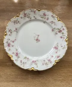 2026年最新】haviland 皿の人気アイテム - メルカリ