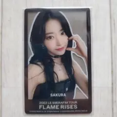 2026年最新】flame rises トレカの人気アイテム - メルカリ