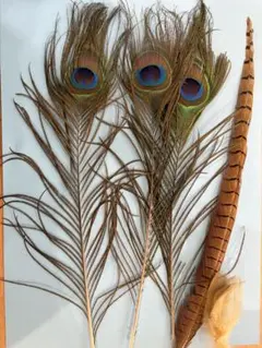 2026年最新】フライマテリアル セットの人気アイテム - メルカリ