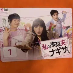 2026年最新】私の家政夫ナギサさん dvd boxの人気アイテム - メルカリ
