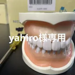 2026年最新】タイポドントの人気アイテム - メルカリ