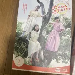 2026年最新】カムカムエヴリバディdvdの人気アイテム - メルカリ